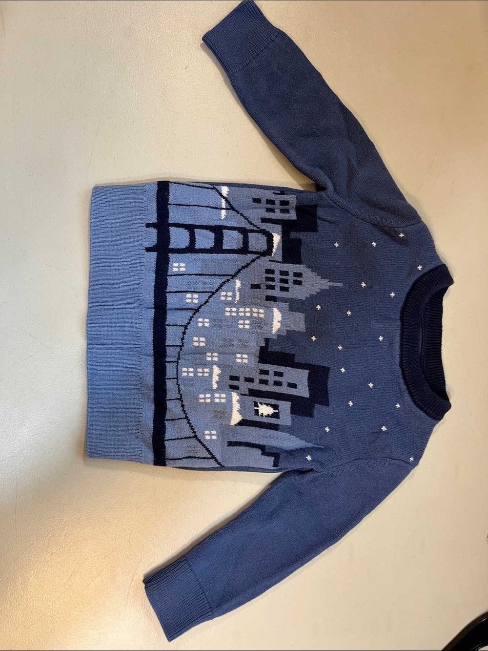 GAP Navy and Light Blue Skyline Knit Sweater